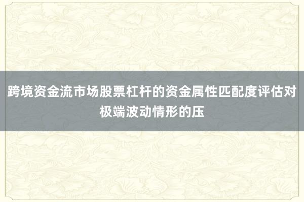 跨境资金流市场股票杠杆的资金属性匹配度评估对极端波动情形的压