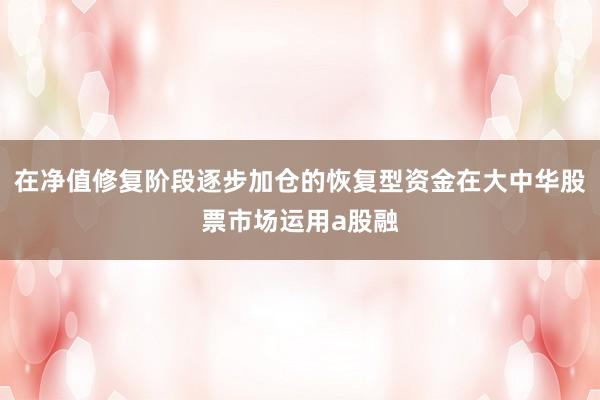 在净值修复阶段逐步加仓的恢复型资金在大中华股票市场运用a股融