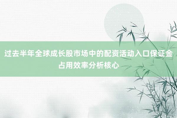 过去半年全球成长股市场中的配资活动入口保证金占用效率分析核心