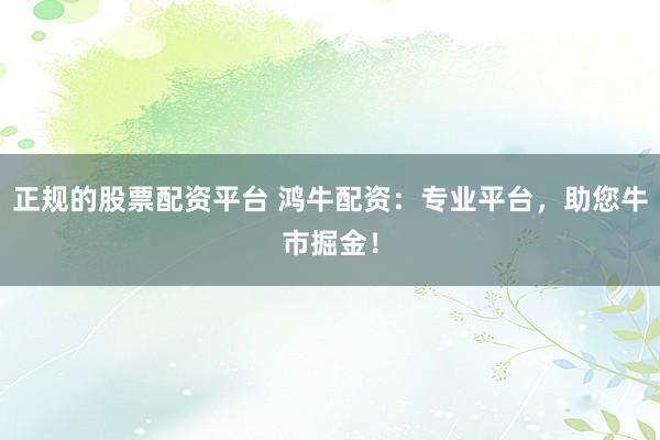 正规的股票配资平台 鸿牛配资：专业平台，助您牛市掘金！