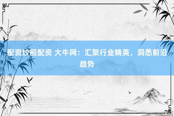 配资炒股配资 大牛网：汇聚行业精英，洞悉前沿趋势